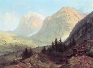 Alpine Landscape