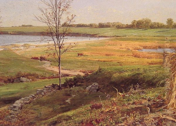 Salt Marsh By The Sea - view 1