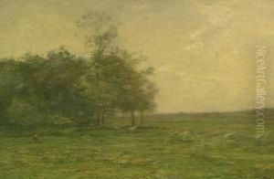 The Meadow The Meadow