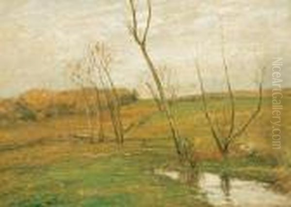 Autumn - view 1