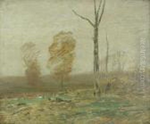Grey Weather - view 1