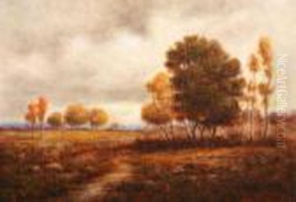 Autumn Landscape At Sunset - view 1