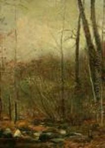 In The Clearing by John Francis Murphy