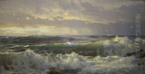 Surf On Rocks - view 1
