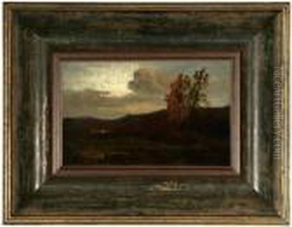 Autumn - view 1