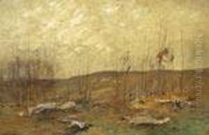 ''saplings'' by John Francis Murphy