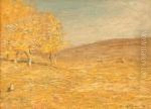 Sunlit Stubble by John Francis Murphy