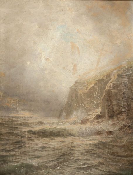 Rocky Sea Coast - view 1