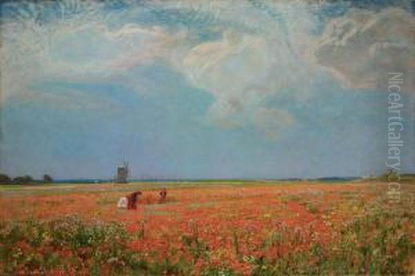 Murray, R.a. Flowers Of The Field - view 1