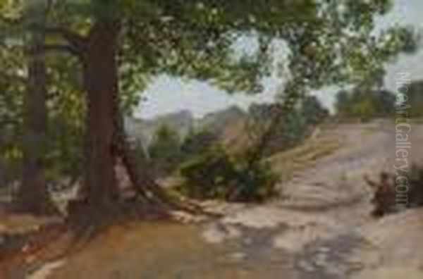 The Hollow Tree - view 1