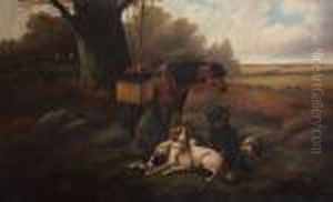 Boslandschap Met Gezadeld Paard