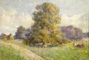 A Summer Meadow by David Murray