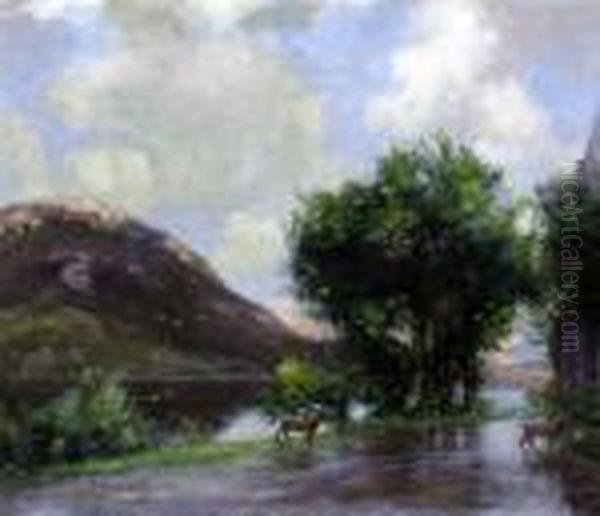 Deer Crossing A Lakeland Path - view 1