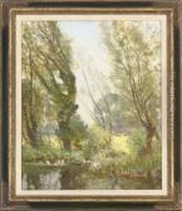 Ducks By A Pond by David Murray