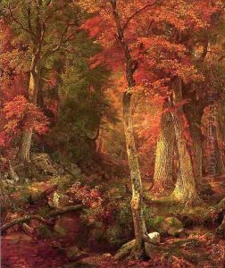 Forest Interior in Autumn