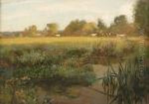 Landscape In Hampshire by David Murray