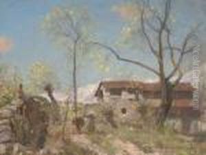 Alpine Farm Alpine Farm