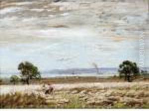 The Harvesters by David Murray