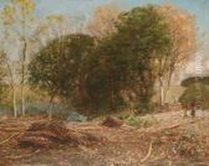 Clearing The Forest Clearing The Forest