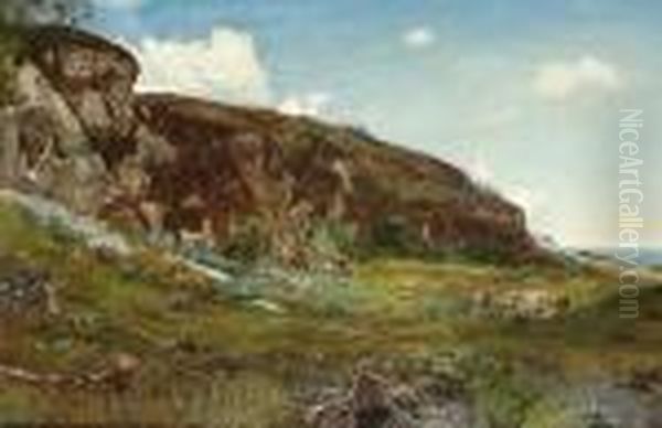 Highland Cattle In A Valley - view 1