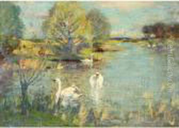 The Swan Lake - view 1