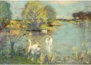 The Swan Lake by David Murray