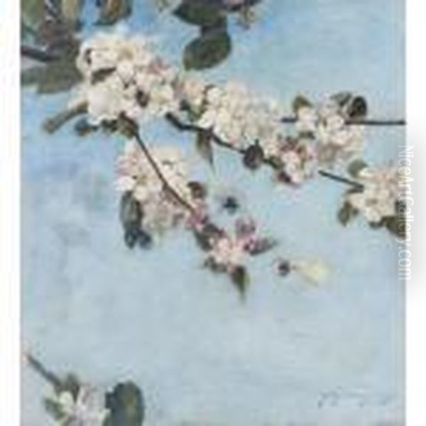 Apple Blossom - view 1