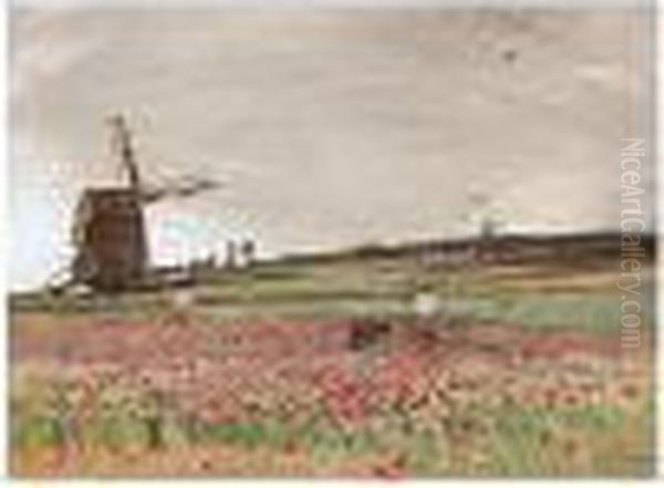 The Poppy Field - view 1