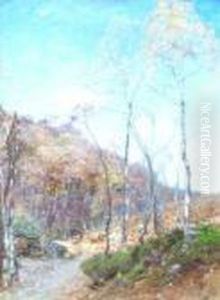 The Old Trossachs Wood By The Side Of Loch Katrine by David Murray