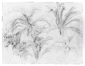 Palms