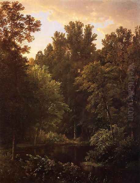 Forest Pool - view 1