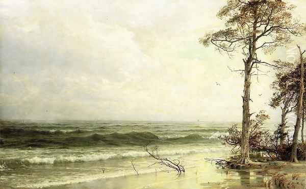 Cedars on the Shore Near Atlantic City - view 1