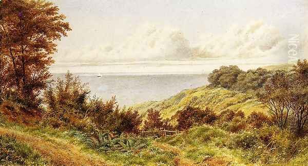 Overlooking the Coast - view 1