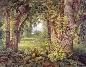 Into the Woods Into the Woods