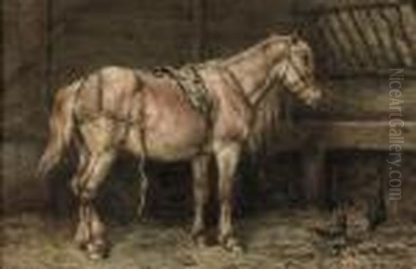 In The Stable - view 1