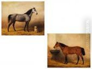 Pferdeportraits by Willem Carel Nakken