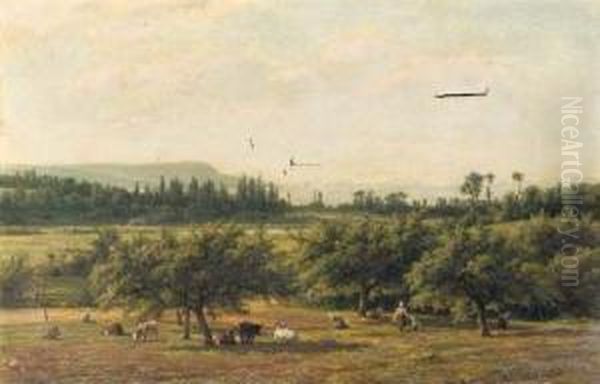 In The Meadow In Summer - view 1