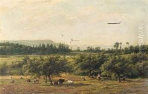In The Meadow In Summer by Willem Carel Nakken