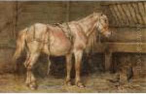 A Horse In A Stable