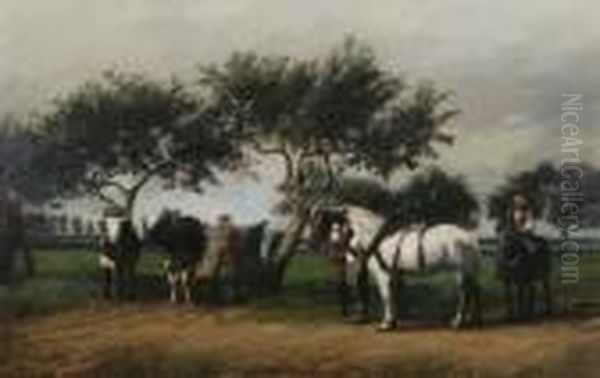 Paysage A Beuzeville - view 1