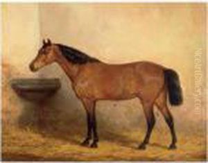 A Thoroughbred by Willem Carel Nakken