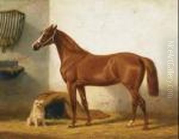Thoroughbred And Terrier In A Stable - view 1