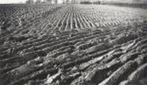 A Private World, Fischer Fine Art by Paul Nash