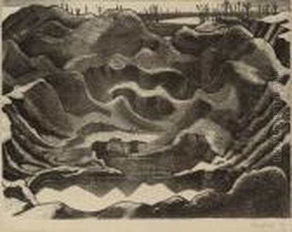 The Crater, Hill 60 (postan L1) - view 1