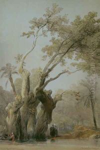 The holy tree of Metereah