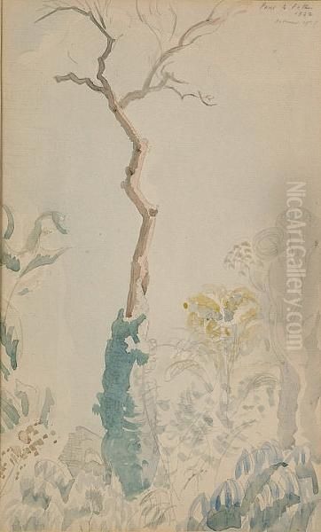 The Lonely Tree - view 1