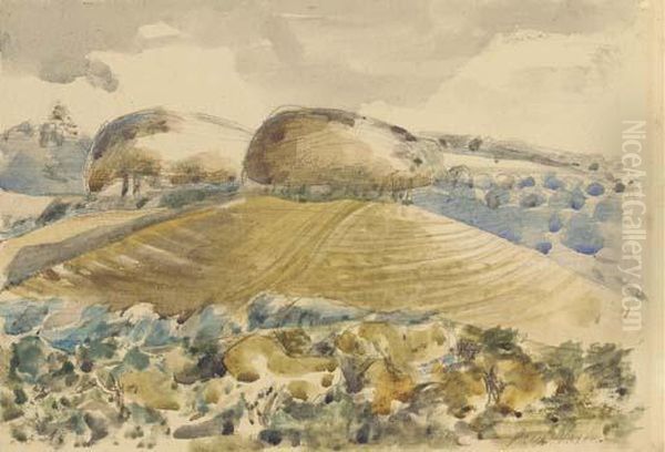 Landscape Of The Wittenham Clumps - view 1