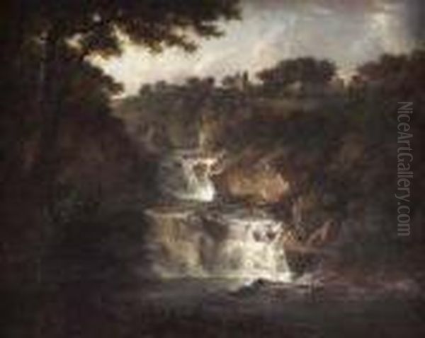 Falls Of Clyde - view 1