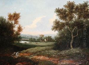 A Summer Day