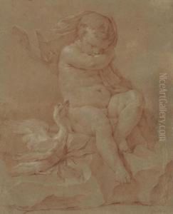 A Seated Putto With A Swan